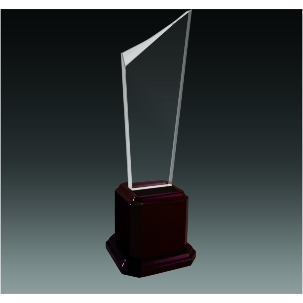 Elegant Ascention Award